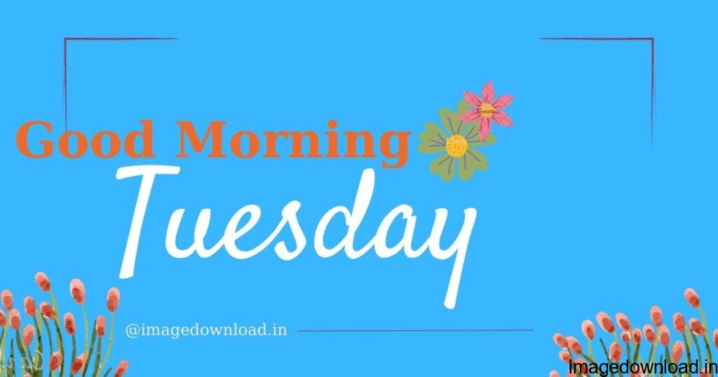 Today we are going to share good morning tuesday images with you ... which you can easily download and share with your friends, relatives, and your loved ones .... Hope this good morning tuesday images will give you would love it thanks.....