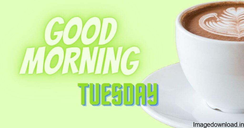 Today we are going to share good morning tuesday images with you ... which you can easily download and share with your friends, relatives, and your loved ones .... Hope this good morning tuesday images will give you would love it thanks.....GREEN TEA CUP
