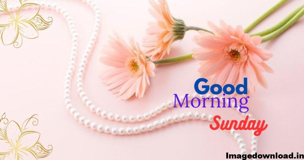 1000+ Latest Good Morning Sunday Images download, Photos & Pic