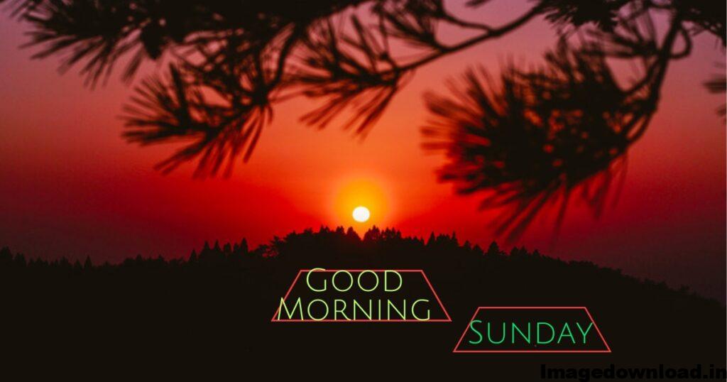 1000+ Latest SUNRISE Good Morning Sunday Images download, Photos & Pic 