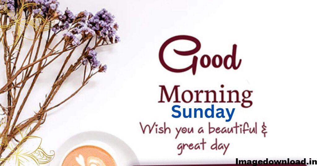 1000+ Latest Good Morning Sunday Images download, Photos & Pic TREE GREEN