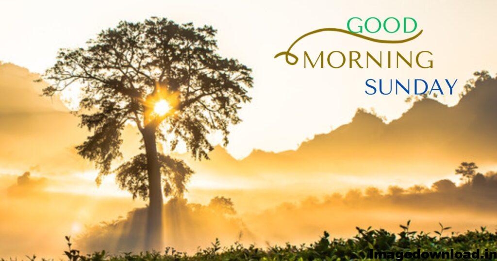 1000+ Latest Good Morning Sunday WITH SUN Images download, Photos & Pic