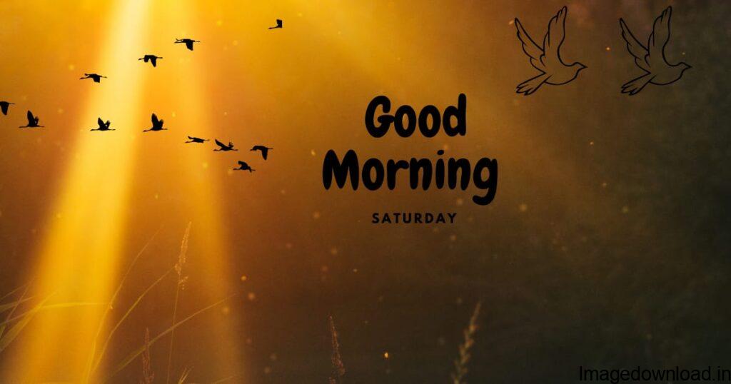 Good Morning Saturday Blessings, Image of Happy Saturday Images, Happy Saturday Images on birds fly