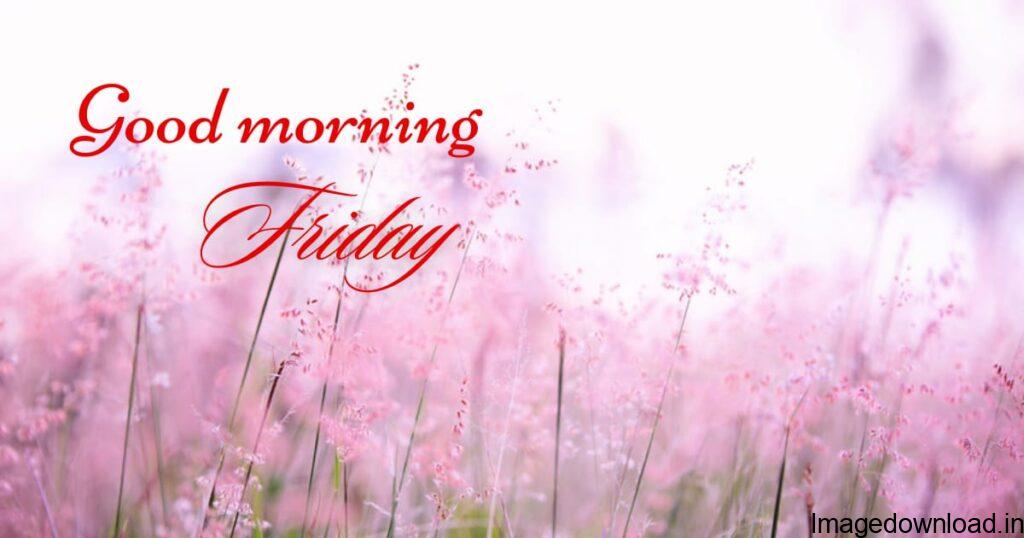 Image of Good Morning Friday Images Funny, Good Morning Friday Images Funny, Image of Good Morning Friday Quotes, Good Morning Friday Quotes, Image of Good Morning Friday Images In Hindi, Good Morning Friday Images In Hindi, Image of Good Morning Friday Images and Quotes, Good Morning Friday Images and Quotes,