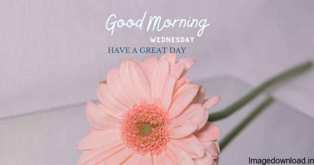 Image of Good Morning Wednesday Images for Whatsapp, Good Morning Wednesday Images for Whatsapp, Image of Good Morning Wednesday 