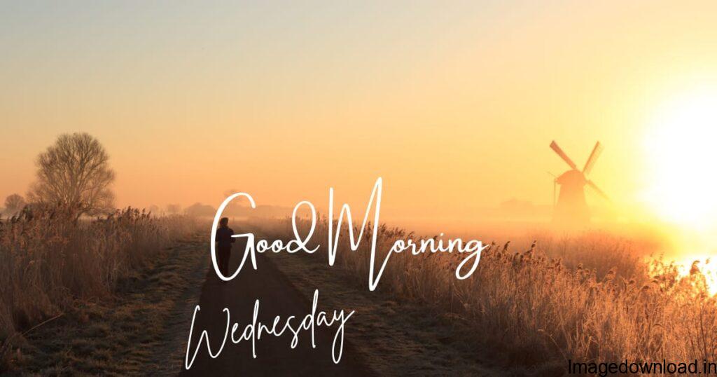 Good morning wednesday images Download HD FLYING BIRDS Good morning wednesday images Download HD