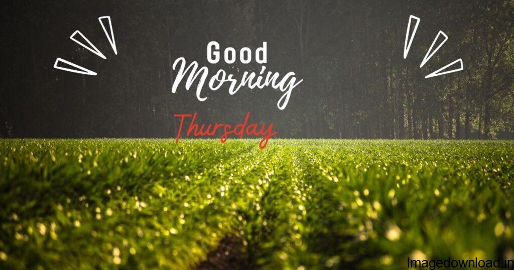Good morning thursday- Everyone loves Thursday morning as the weekend is just after a day. This is usually a perfect time to share thursday good morning images.