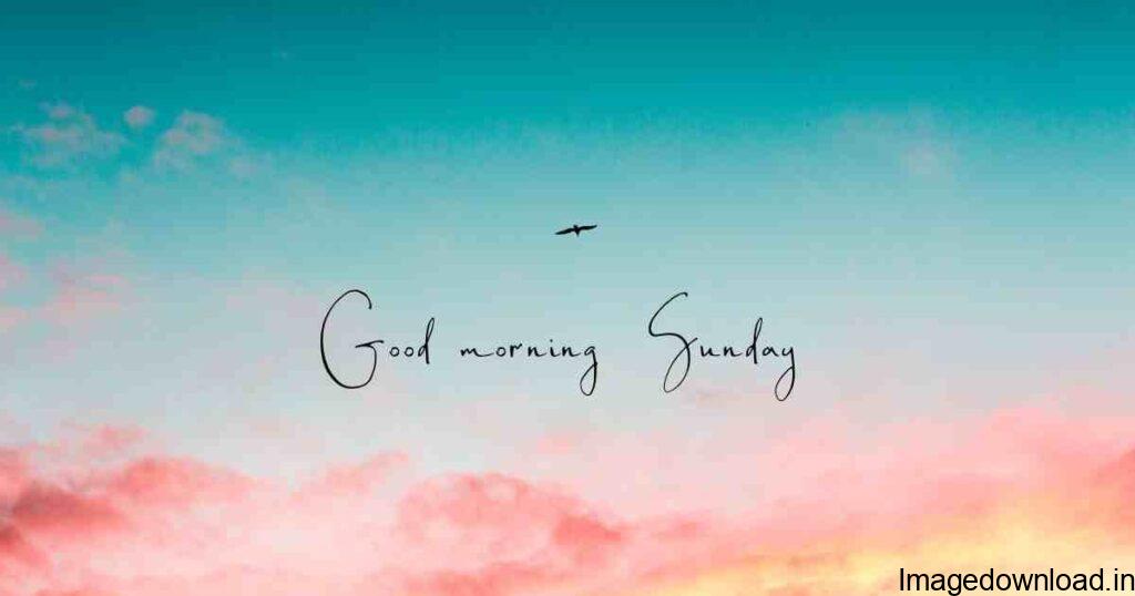 40 Wonderful Happy Sunday Morning Images ; Lovely Sunday ; Good Morning With Tea ; Hello Sunday Good Morning ; Good Morning Happy Sunday ; Good Morning.