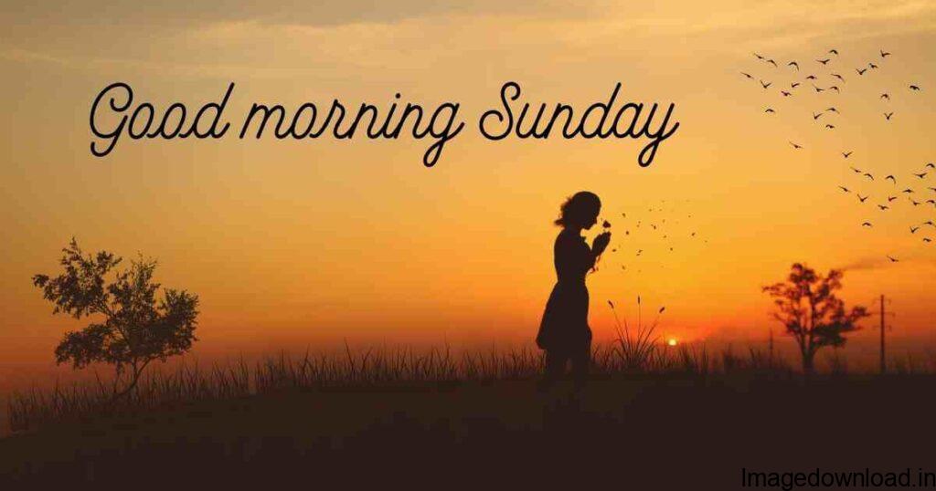  Best & latest collection of "Good Morning Sunday Images" Wallpapers, Photos, Dp, choose and download your favourite ones.