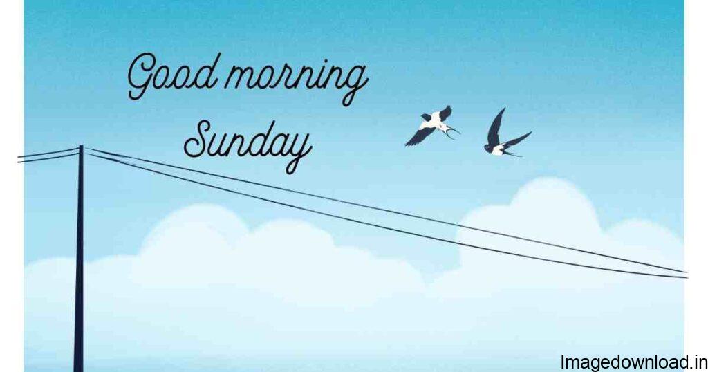 Looking for Best Good Morning Sunday, Images, Pictures, Photos, GIFs, Messages, and Good Morning Blessing used on Whatsapp-Facebook-Pinterest-Tumblr ETC.