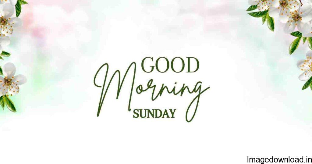 Sunday morning is your favorite time to share with your friends some fresh Sunday good morning images, quotes, and wishes to make your day memorable.