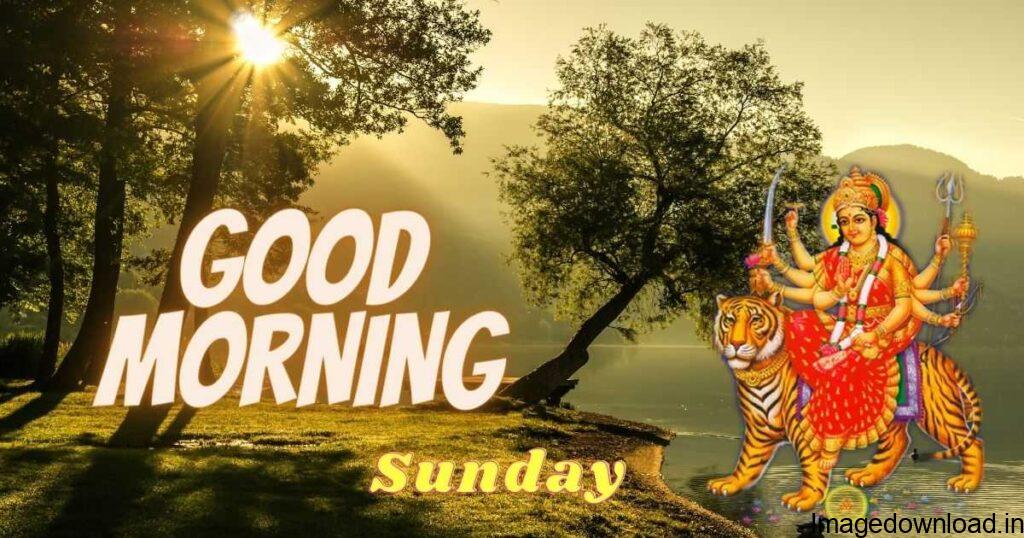 Explore Ravinesh Kumar's board "Good morning sunday", ... See more ideas about good morning images, good morning happy sunday, morning ...