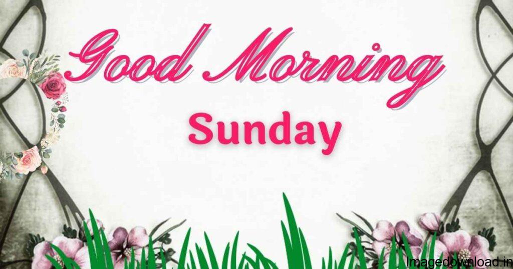 Happy Sunday my love. May this awesome day bring the happiness and beauty you have brought into my life. Have a blissful weekend. Good Morning!