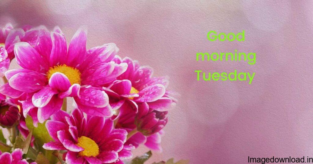 Sharing inspirational good morning Tuesday images encourage you to have a smile and a positive attitude from the morning. Before starting your daily routine ...
