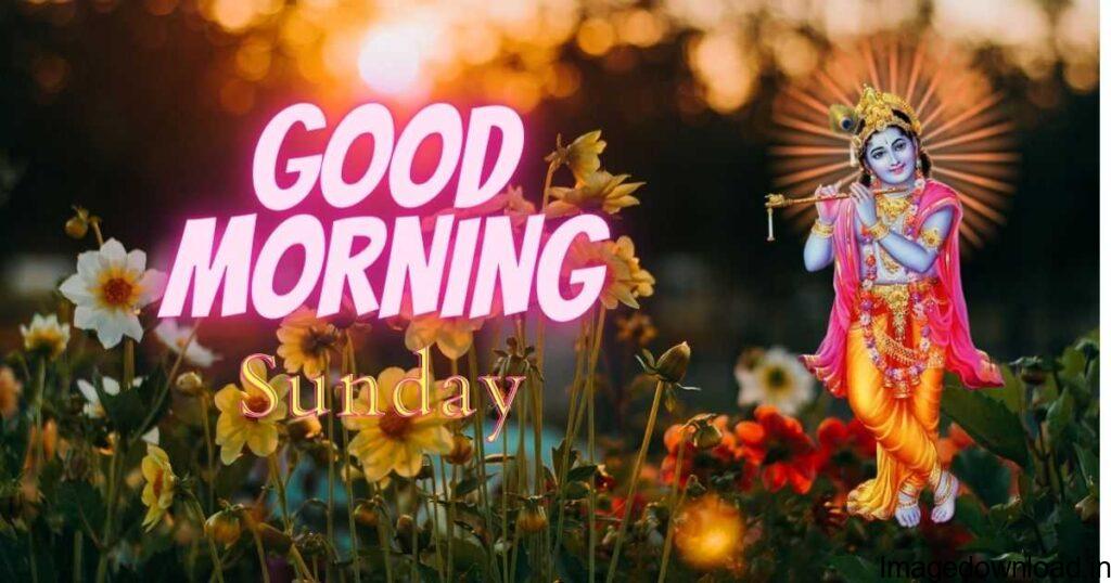 Beautiful Rose Good Morning Happy Sunday. Download Image ... Good Morning Have A Beautiful Autumn Sunday Picture ... Enjoy your Sunday. God Bless You.