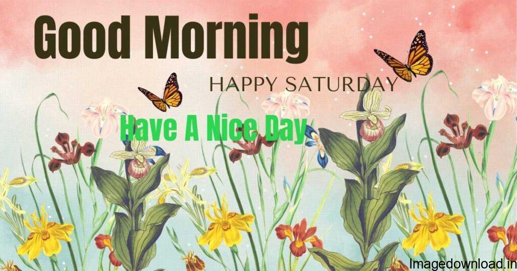 Thank you and Good morning ☕ ☀️ Happy Saturday! Have a blessed and wonderful and beautiful and lovely day and a wonderful weekend too,my friend.