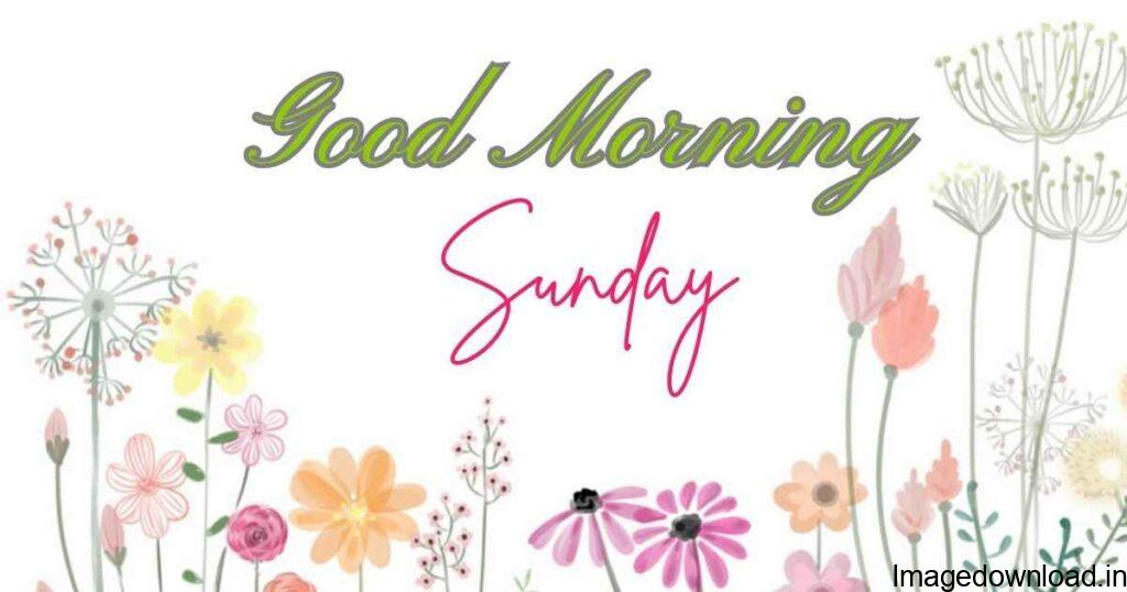 Latest Good Morning Happy Sunday Images Download For Whatsapp With Happy Sunday Beautiful Good Morning Photos Status Wallpapers ?