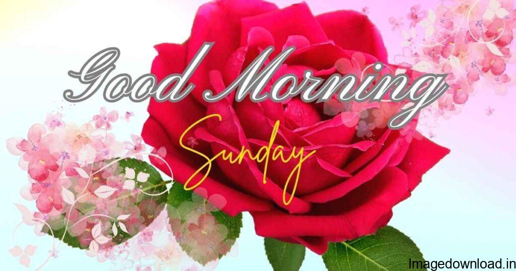 Wishing you a blessed and joy-filled Sunday. Good morning, I wish this sunny Sunday brings all the nice things into ..