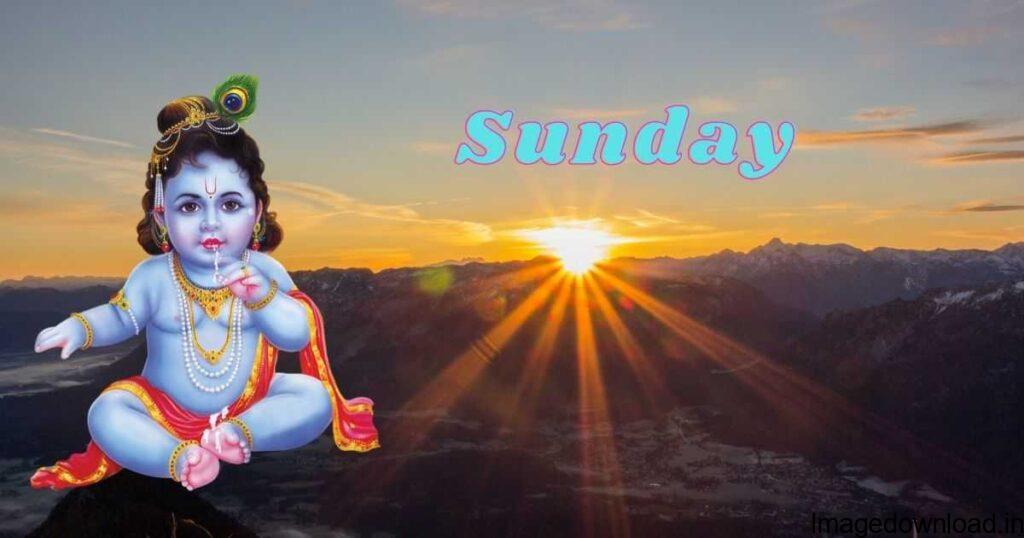Best & latest collection of "Good Morning Sunday Images" Wallpapers, Photos, Dp, choose and download your favourite ones.