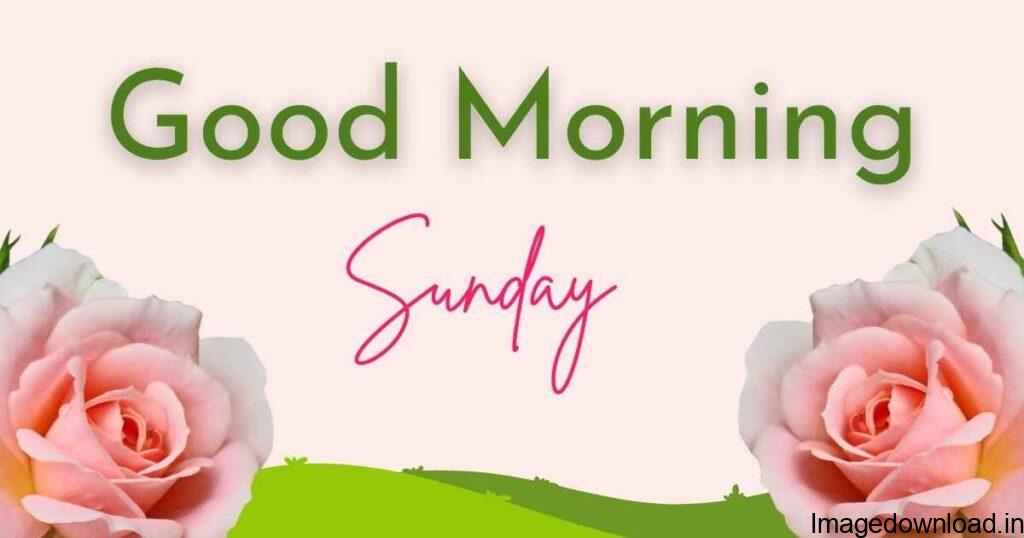Good Morning Sunday wishes and quotes for you and your loved ones. Share these Happy Sunday wishes on WhatsApp.