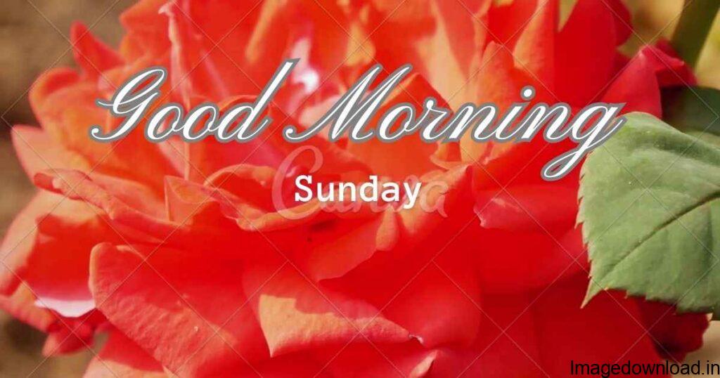 A cup of tasty coffee, and beautiful good morning wishes from friends can make sunday morning more shining. After busy schedule of week days,