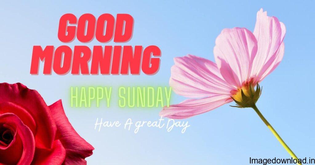 💖 Happy Sunday Morning! Images and Quotes for FREE happy sunday good morning images from Happy Sunday Morning! Free content ideas to wish a happy Sunday morning with images and quotes. ... Have a nice day. Happy sunday image with flowers and ...