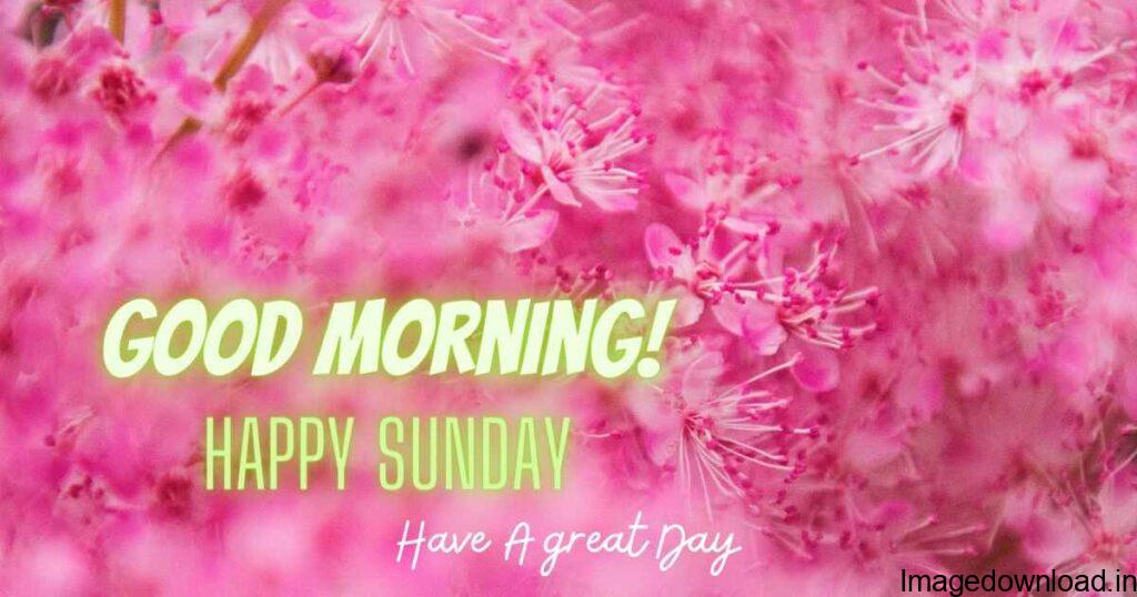 Download Good Morning Happy Sunday stock photos. Free or royalty-free photos and images. Use them in commercial designs under lifetime, ...
