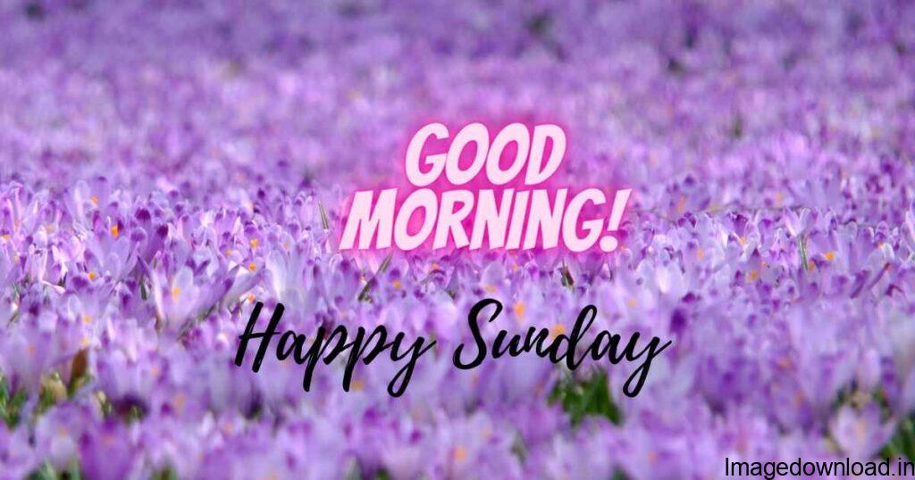 Happy Sunday Good morning Images With Wishes, Quotes For WhatsApp, Instagram. TN Viral Desk ...