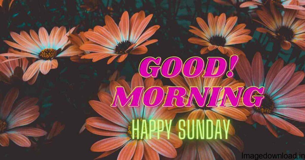 Images and quotes of good morning happy sunday. A week has passed and a new one is about to begin. Sunday is the day that brings us the ...