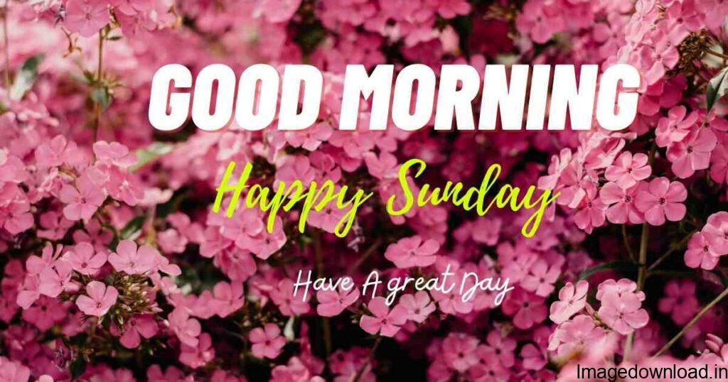 #good morning happy sunday #good morning happy sunday ☺ #good morning happy sunday #good morning happy sunday ###☕good morning/happy sunday.