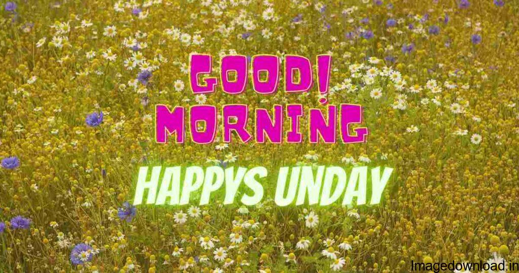 Find & Download Free Graphic Resources for Happy Sunday. ... Free for commercial use ✓ High Quality Images. ... freepik. flat lay · good morning · top view.Here we have given 100+ Good Morning Happy Sunday images for you. Which you can download in hd quality and share with your friends in whatsapp facebook & ...