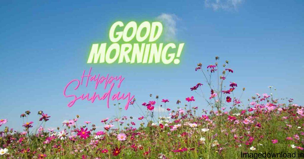 Sunday Morning Wishes, Good Morning Smiley, Good Morning Friends Images, Good Morning Wishes. 35 Best Happy Sunday Wishes: Images, Greetings, Photos, ...