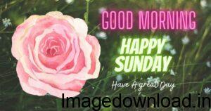  Everyones always wish a happy sunday to everyone so here we came with a fantastic collection of good morning happy sunday images for ...WHATSAAP