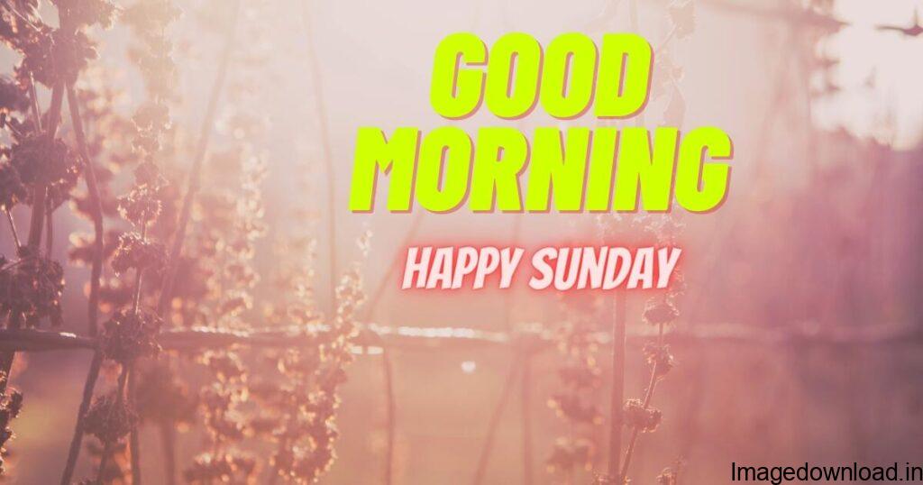 Image of Happy Sunday Good Morning Images for Whatsapp Happy Sunday Good Morning Images for Whatsapp Image of Good Morning Happy Sunday HD Images Good Morning Happy Sunday HD Images Image of Good Morning Happy Sunday God Images Good Morning Happy Sunday God Images Image of Beautiful Happy Sunday Images Beautiful Happy Sunday Images Image of Happy Sunday Images Happy Sunday Images Image of Good Morning Happy Sunday Quotes Good Morning Happy Sunday Quotes Image of Sunday Good Morning Images in Hindi Sunday Good Morning Images in Hindi Image of Sunday Good Morning Quotes for Whatsapp Sunday Good Morning Quotes for Whatsapp 