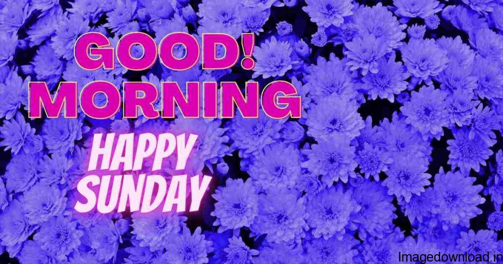 Today We have the latest Good morning Sunday images for you. All the good morning happy Sunday images are the best collection to share happy ...