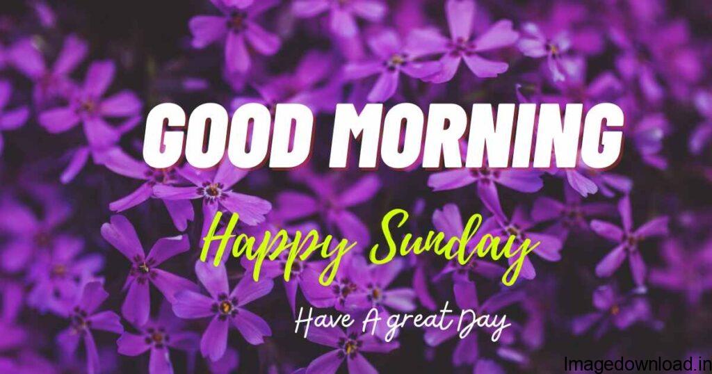 Sunday good morning blessing images for a beautiful day of love, peace, and the sweet presence ... Good Morning Happy Sunday Quotes Image Pic for Whatsapp.