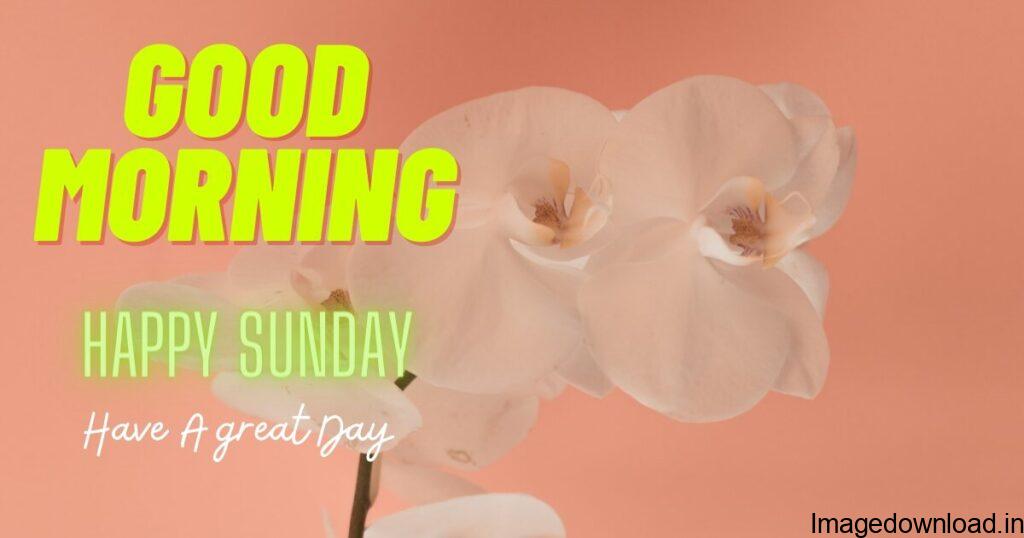 Happy Sunday Images | 1000+ Good Morning ... happy sunday good morning Start your Sunday with these beautiful Happy Sunday Images & Good Morning Sunday Images. Be Inspired whole day & Stay Happy Whole Day.