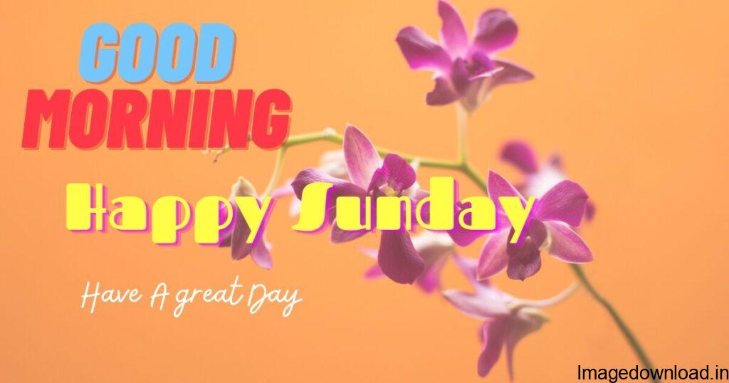 Best Good Morning Happy Sunday HD Images Free ... happy sunday good morning images from Here you can find the Best Good morning Sunday Images. If you like any photo then click on the picture to download it in full size. Sunday is the day that leads ...