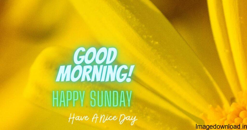 Good morning images with Sunday quotes are the best way to wish a beautiful Sunday for friends. Sunday Good Morning Wishes Pics For Whatsapp. Good Morning ...