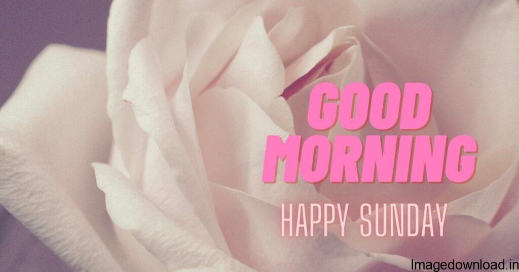 140+ Good Morning & Happy Sunday Wishes with Images May this day be a foretaste of a great week ahead. Happy Sunday, my love. Best Hd Quality Sunday Good Morning Images. Have a blessed Sunday morning is God's way ...