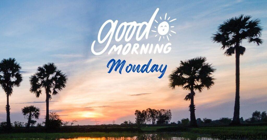 Good Morning Happy Monday Have A Nice Day. Good Morning Happy Monday Picture. Happy Monday Good Morning Picpic. Good Morning Happy Monday Image.