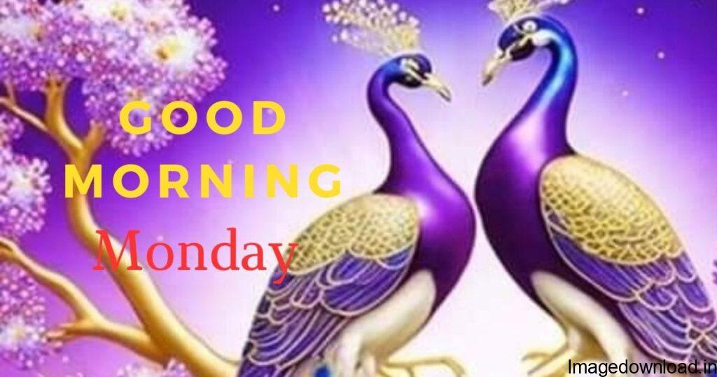 Special good morning Quotes & Messages in English & Hindi - Share these morning thoughts, greetings & pictures with anyone & make everyone's day special!