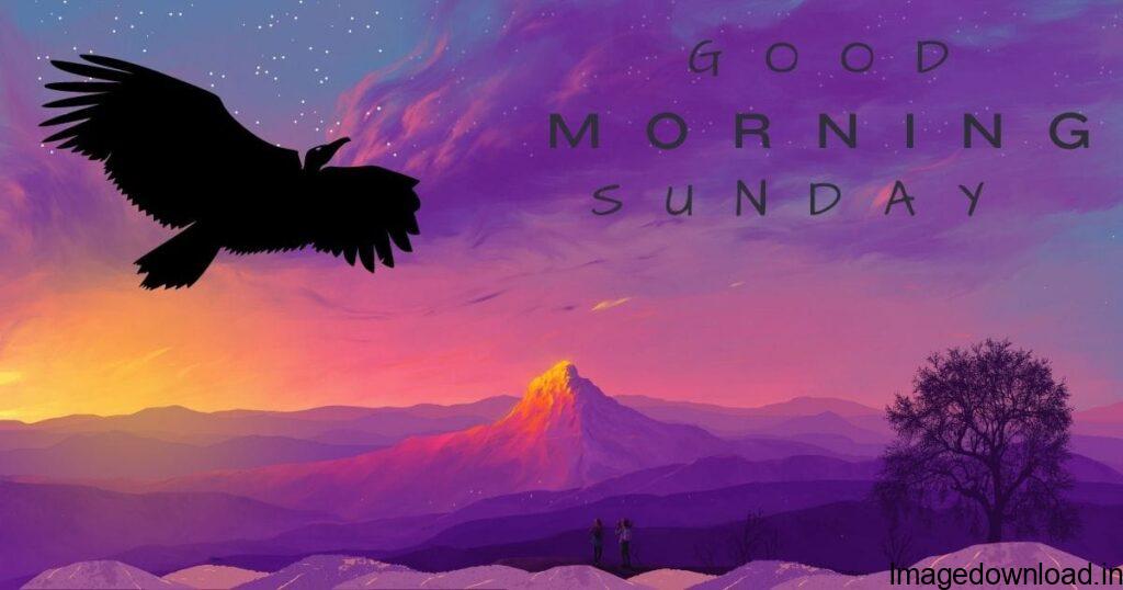 How do you have a lovely Sunday? How do you wish good morning on Sunday? What is the best quote for morning? आप रविवार को गुड मॉर्निंग कैसे विश करते हैं