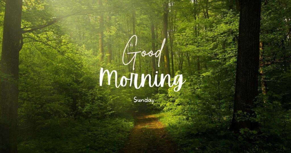 900+ Best Good morning sunday images ideas good morning sunday nature images from sharechat.com See more ideas about good morning sunday images, good morning, sunday images. ... Good Morning Nature, Good Morning Beautiful Pictures, Good