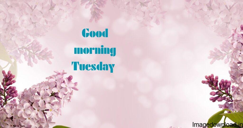 Image of Beautiful Good Morning Tuesday Images with Quotes Beautiful Good Morning Tuesday Images with Quotes Image of Good Morning Tuesday Inspirational Quotes Good Morning Tuesday Inspirational Quotes Image of Good Morning Tuesday God Images Good Morning Tuesday God Images Image of Good Morning Tuesday Images for Whatsapp Good Morning Tuesday Images for Whatsapp 