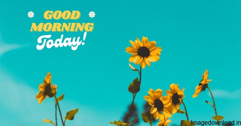 Good Morning Images - Share our Good Morning Pic, Quotes or Photo on WhatsApp, Facebook, ... May your cup filled up with blessing today.