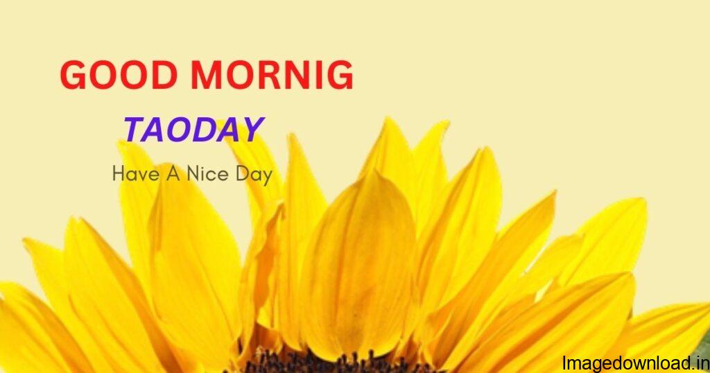 🌞 Good Morning🌞 • ShareChat Photos and Videos sharechat.com https://sharechat.com › Hindi › शुभकामनाएं today good morning images from sharechat.com Good Morning #❤️शुभकामना सन्देश # सुप्रभात सन्देश # प्रातः वंदन # ग्रुप: मुस्कुराते रहो.