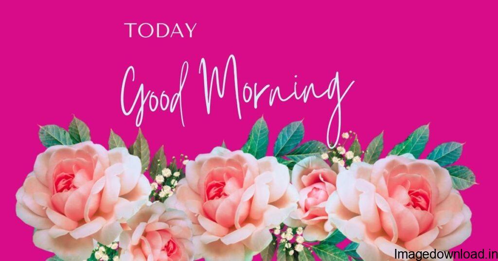  Good morning images are a great way to start the day and make people feel good. The best way to do this is by sending them a. Additional searches Image of Good Morning Images new Good Morning Images new Image of Good Morning Images for Whatsapp Good Morning Images for Whatsapp
