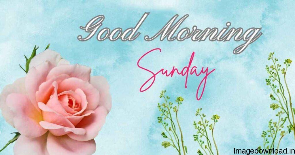 Start your morning off right by sending your friends and family these beautiful good morning Sunday images. After a hardworking week, kick back and enjoy ...