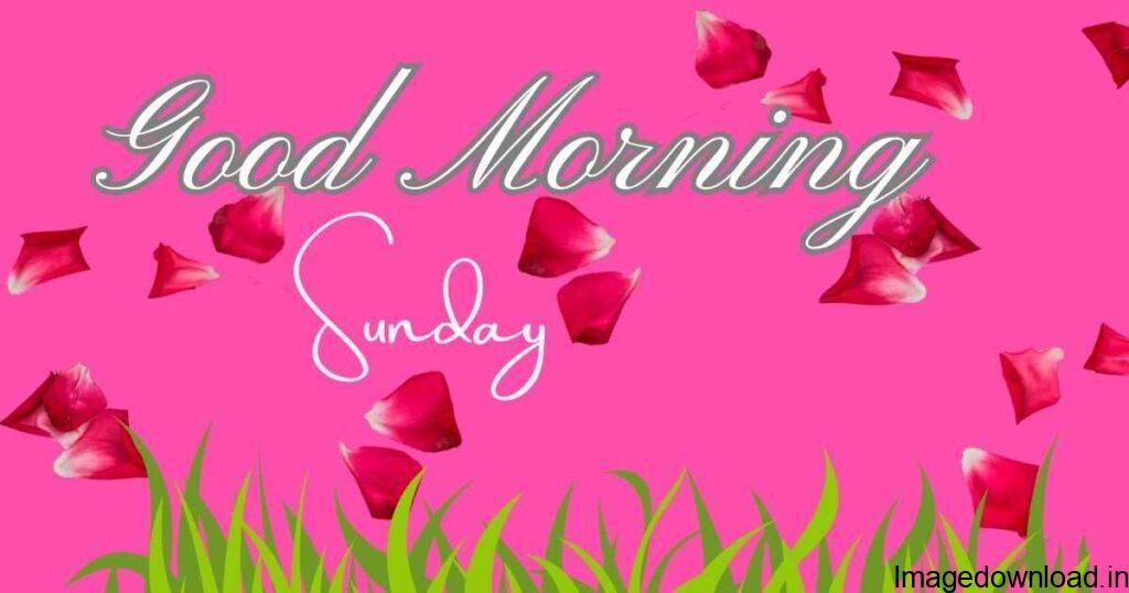 good morning sunday wishes: best good morning sunday blessings images and ... May the Sunday be as beautiful as you make my life every day, my love.